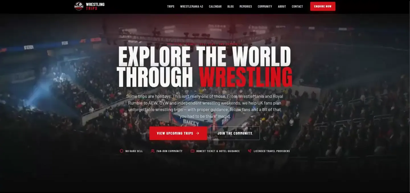 Websites We Can Build: a still of the site